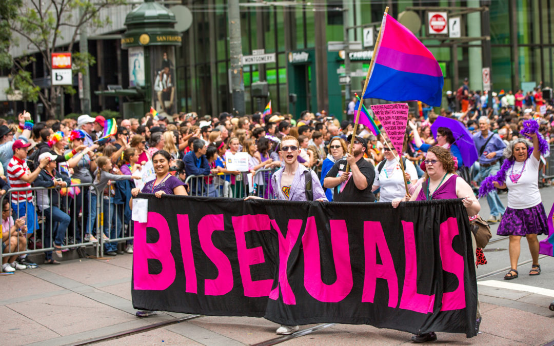Première Enquête Nationale Sur La Bisexualité Visibilité