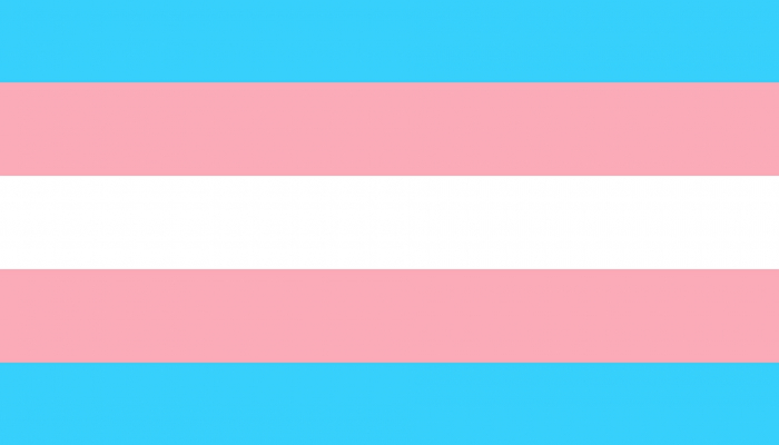 Drapeau trans