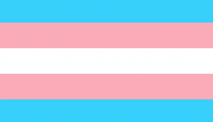 Drapeau trans